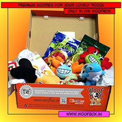 get 300 INR discount at www.woofbox.in